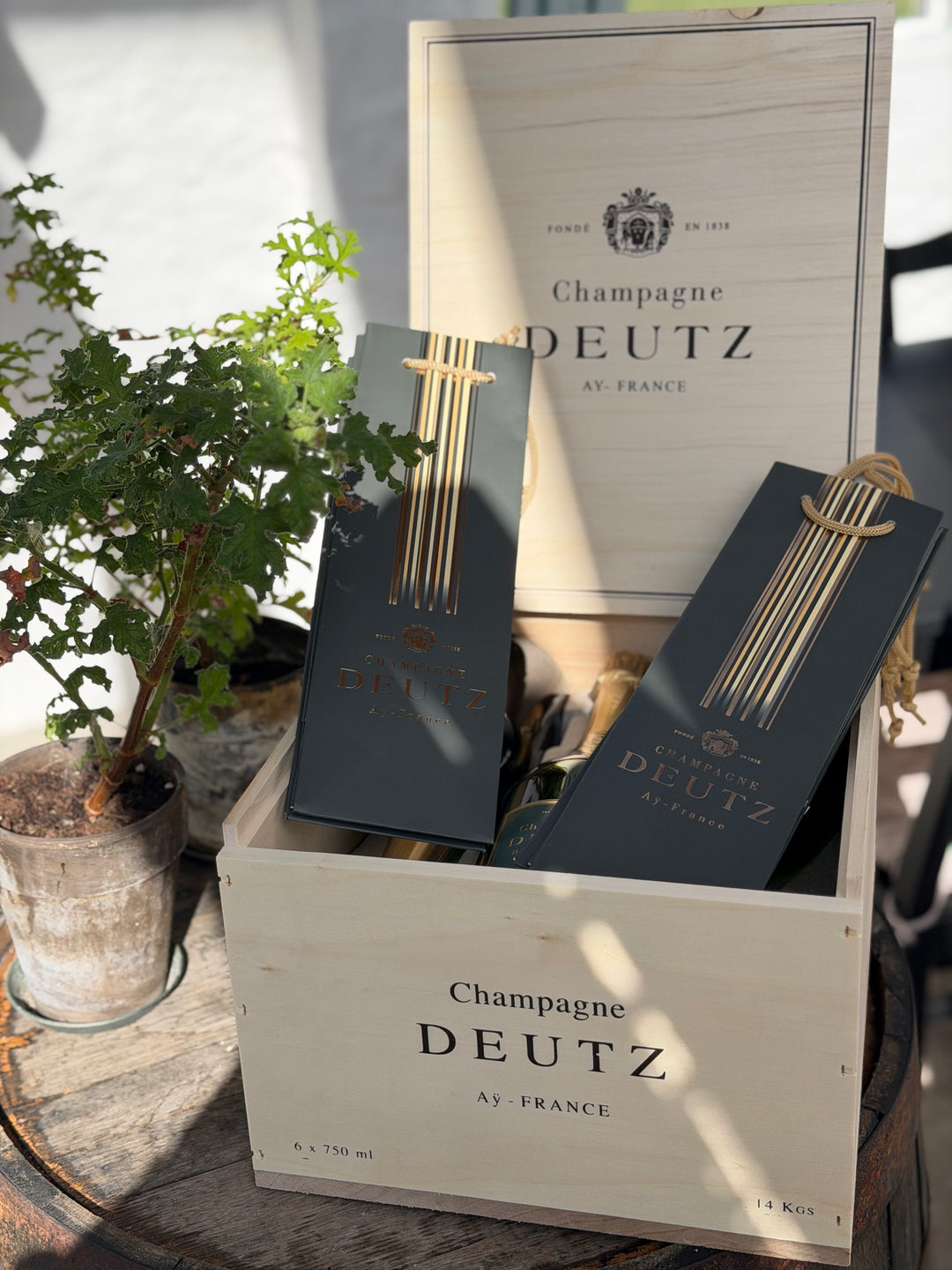 Deutz Brut Classic champagne - 6 stk trækasse