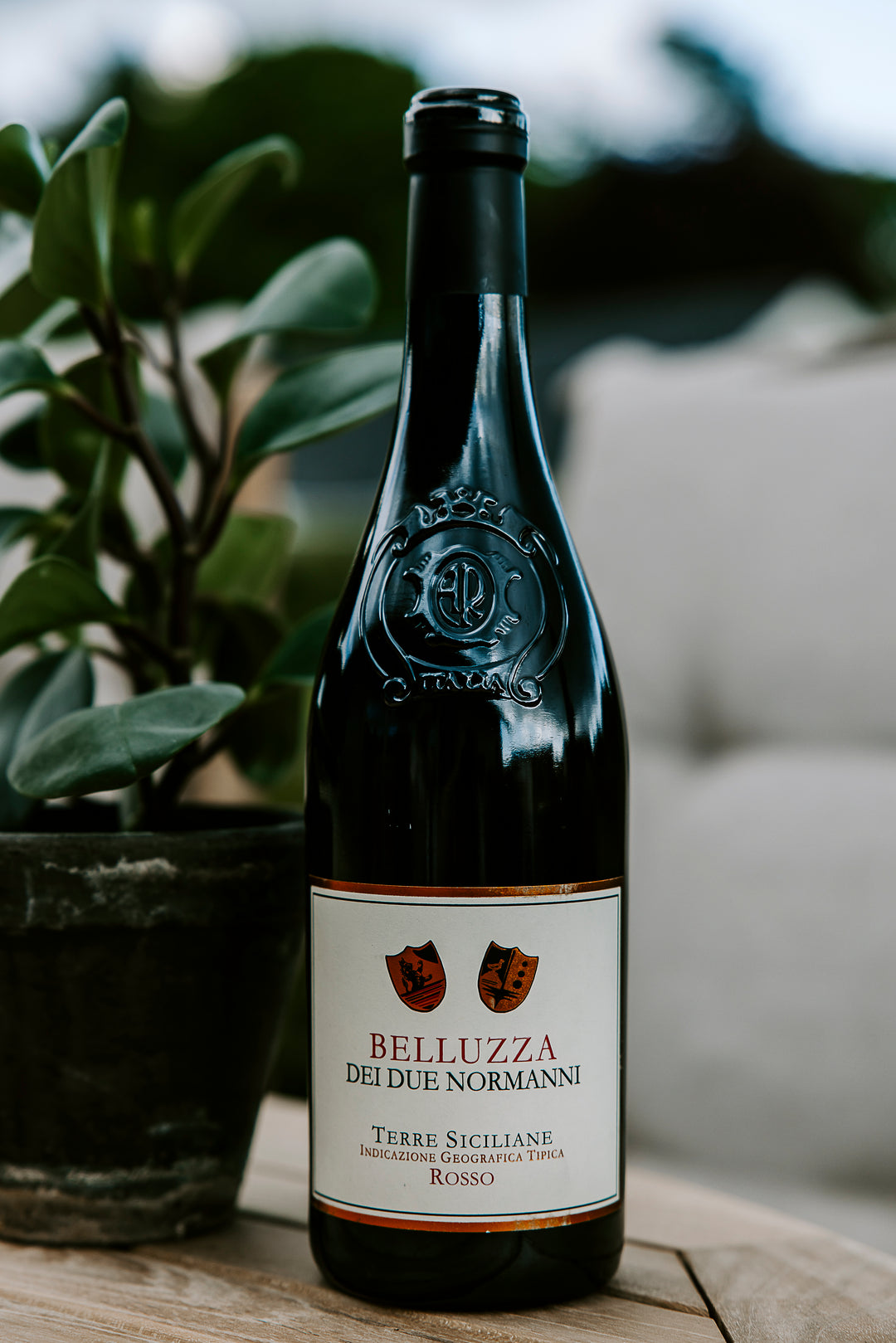 Belluzza 2023 - Peter Vinding Diers